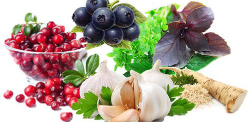 Натуральные антибиотики для борьбы с бактериальными инфекциями