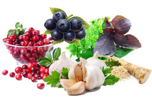 Натуральные антибиотики для борьбы с бактериальными инфекциями